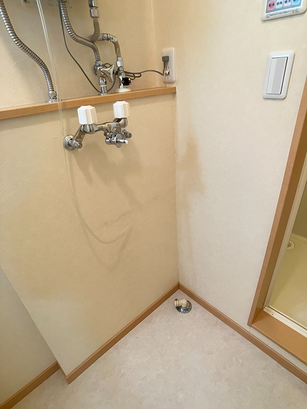 トキワリンクスIVのその他写真