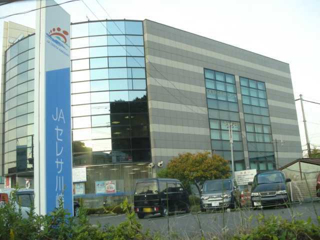 その他　ＪＡセレサ川崎橘支店（その他）まで516m