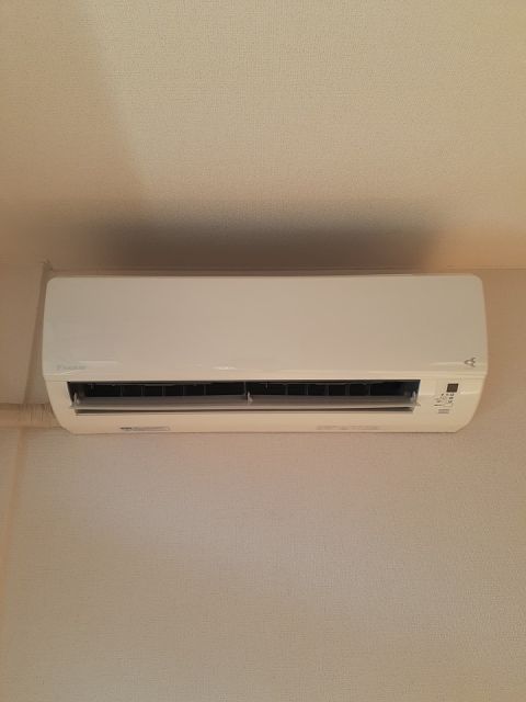 フェルド中居のその他写真