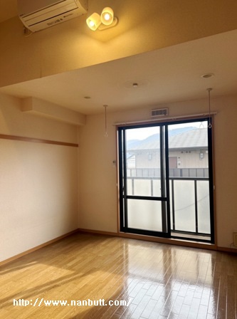 居室・リビング　洋室8帖/ロフト付き