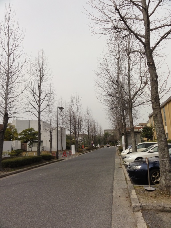 大学・短大　国立大学法人広島大学（大学・短大）まで1600m