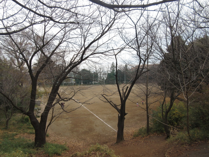 公園　宮崎第一公園（公園）まで400m