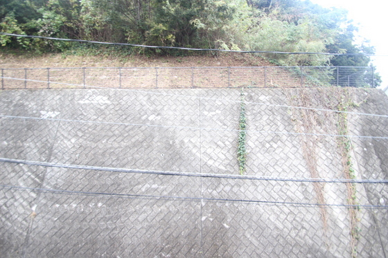 眺望　他の部屋のお写真になります。