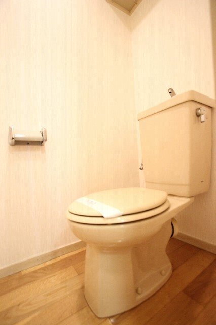 トイレ　同物件別号室の写真