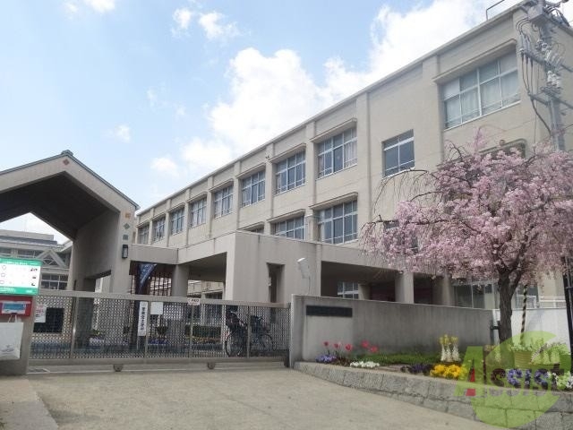 【神戸市東灘区魚崎北町のマンションの小学校】