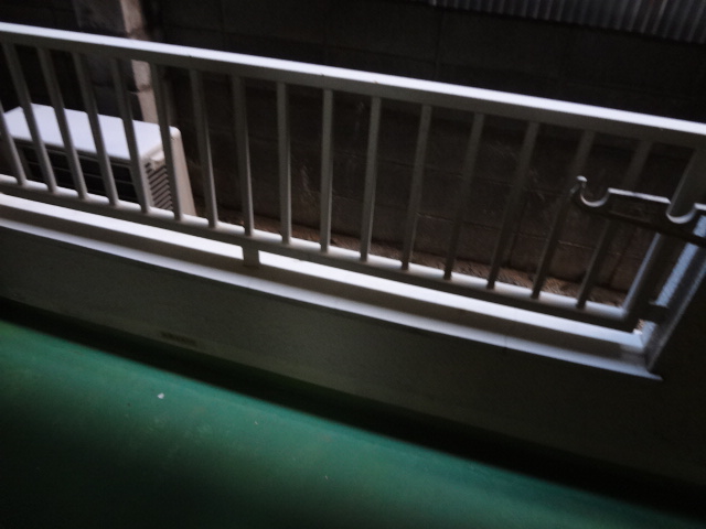 バルコニー　2026_01.23撮影分