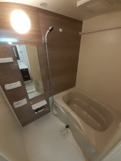 東京メトロ南北線 王子神谷駅 徒歩12分 5階建 築5年の風呂写真