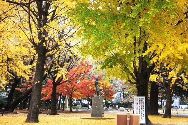 公園　板橋区平和公園（公園）まで463m