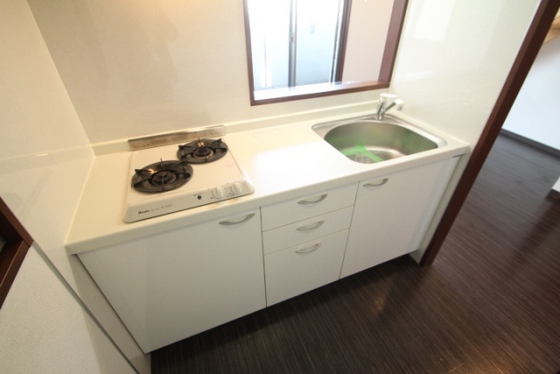 キッチン　※別号室の写真です