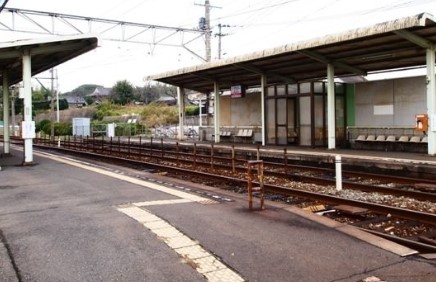 その他　楠橋駅（その他）まで1058m