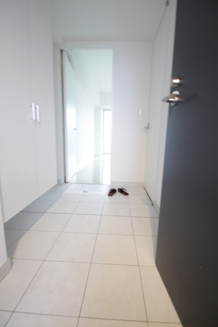 玄関　※別間取りの参考写真です