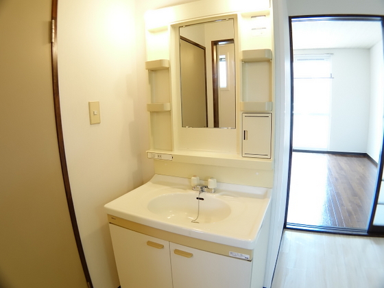 洗面設備　※他号室の写真です。