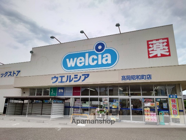 ドラックストア　ウエルシア高岡昭和町店（ドラッグストア）まで675m