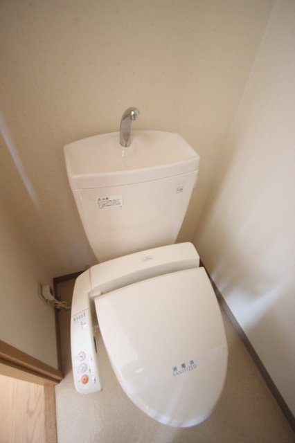 トイレ　同物件、別号室のものです。