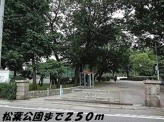 公園　松葉公園（公園）まで250m