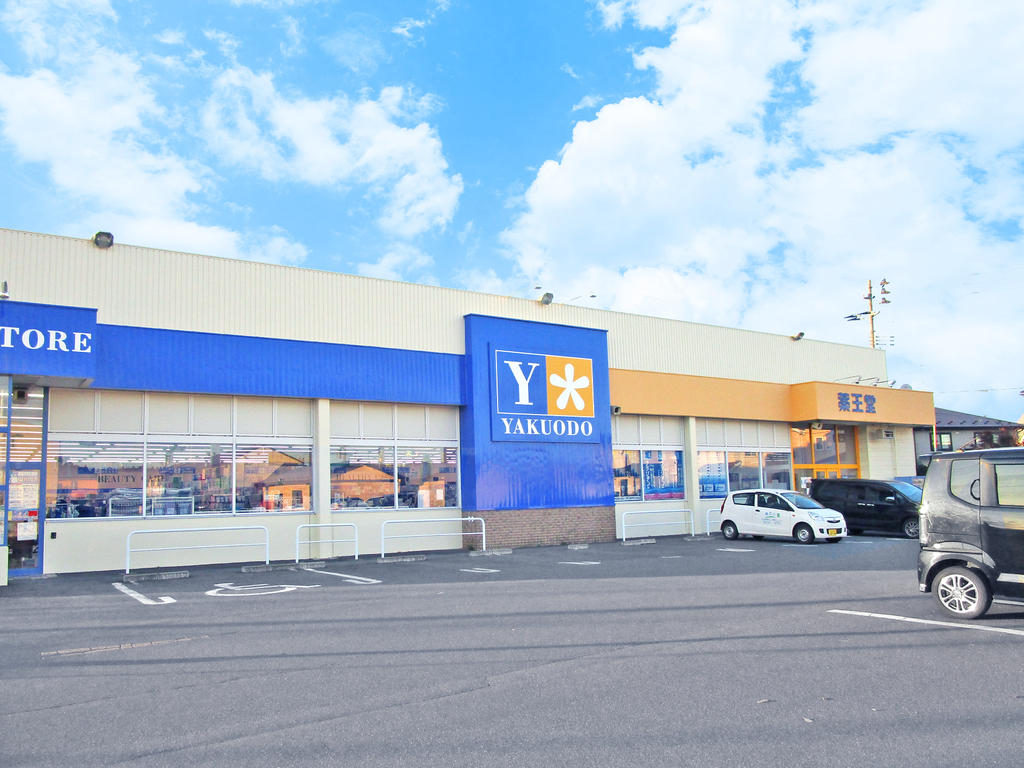 ドラックストア　薬王堂八戸新井田店（ドラッグストア）まで1325m