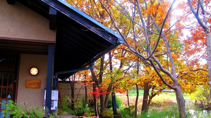 飲食店　つろぎ（飲食店）まで864m
