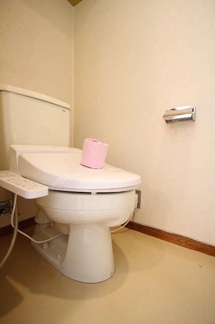 トイレ　同物件、別号室のものです。