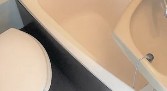 バス・シャワールーム　別部屋参考写真です。