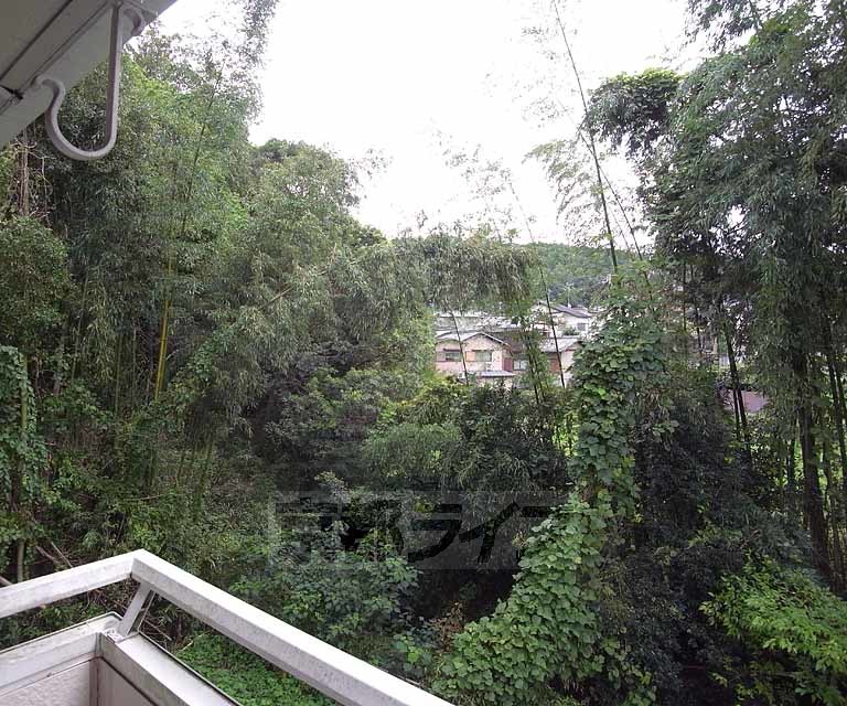 眺望　自然に囲まれて生活できるなんて素敵です・