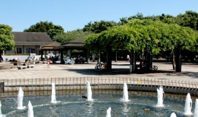 公園　公園新小岩公園（公園）まで1365m