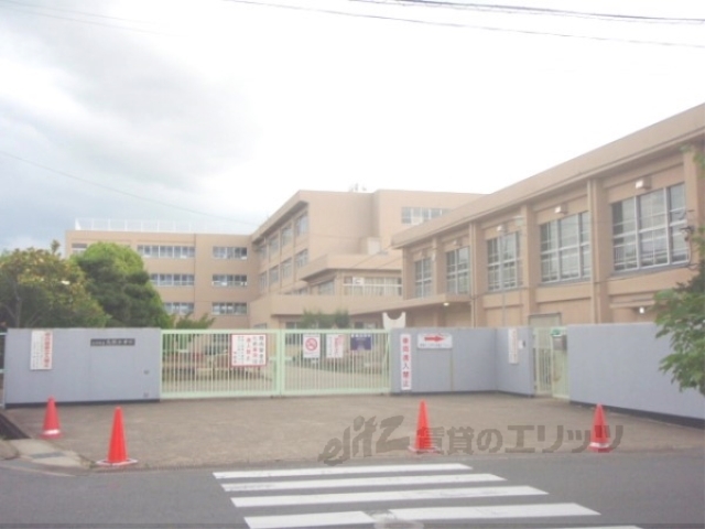 小学校　大開小学校（小学校）まで550m