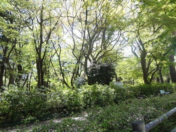 公園　井の頭公園（公園）まで760m