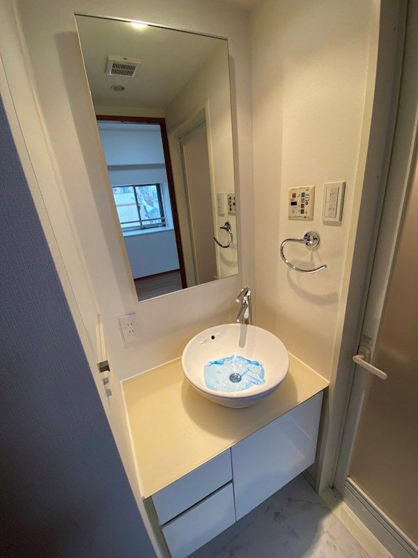 洗面設備　同タイプ部屋　参考写真です