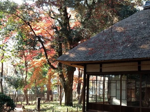 公園　蘆花恒春園（公園）まで1708m