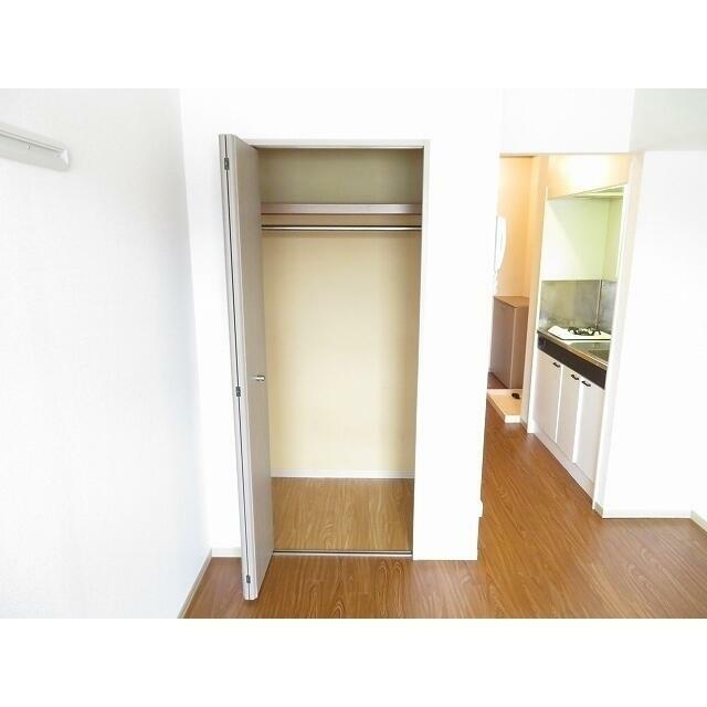 収納　写真は別部屋です
