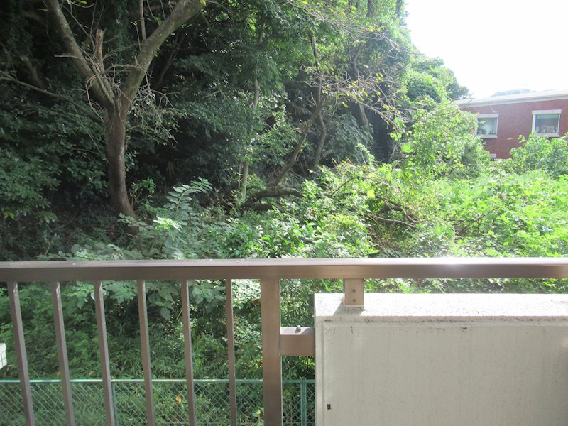 眺望　参考写真