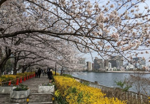 公園　新川公園（公園）まで425m