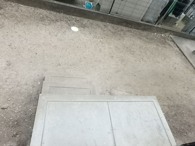 庭