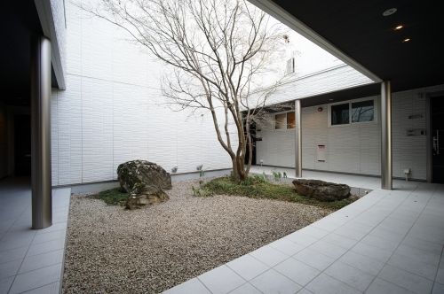 庭