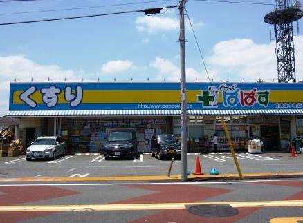 ドラックストア　どらっぐぱぱす世田谷中町店（ドラッグストア）まで991m