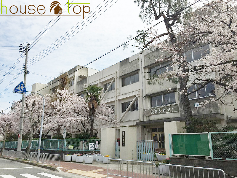 小学校　西宮市立鳴尾小学校（小学校）まで438m