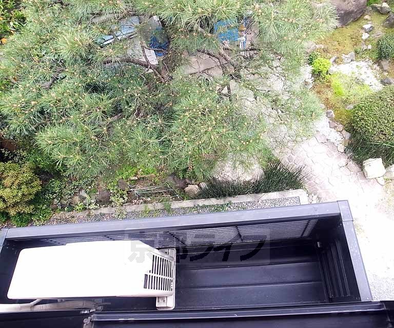 バルコニー　キレイな松です！