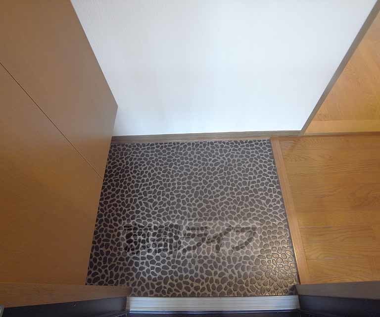 玄関　２０３号室の写真です。