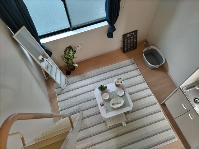 居室・リビング　ロフトからのリビング