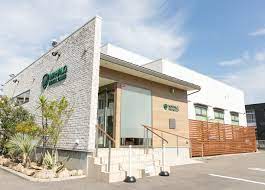 病院　マハロ.デンタルクリニック（病院）まで639m