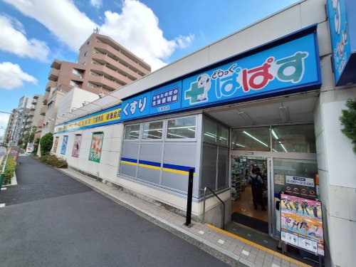 ドラックストア　どらっぐぱぱす下落合店（ドラッグストア）まで338m