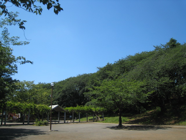 公園　梶ヶ谷第一公園（公園）まで205m