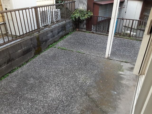 庭