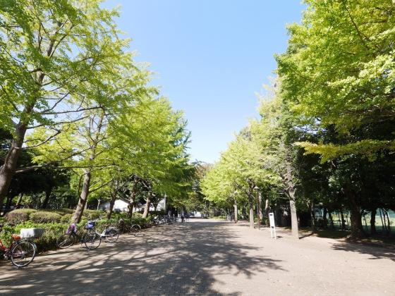 公園　都立城北中央公園（公園）まで759m