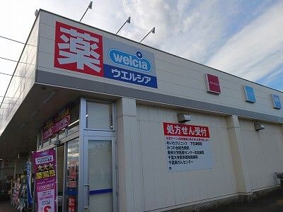 ドラックストア　ウェルシア（ドラッグストア）まで1200m