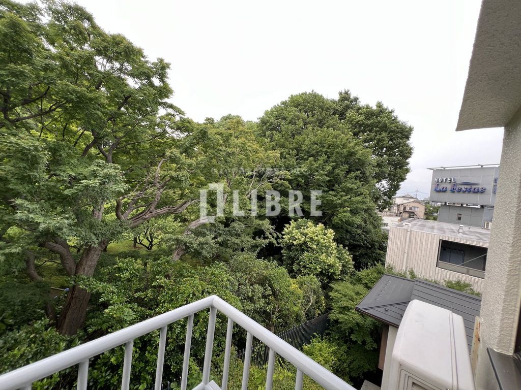 眺望　眺望