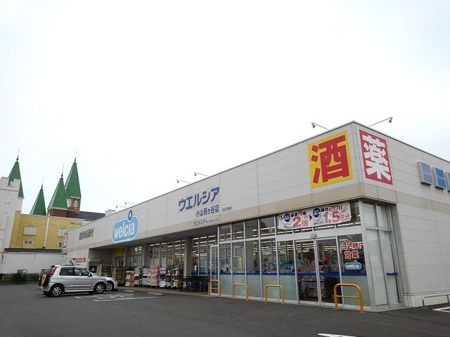 ドラックストア　ウエルシア小山雨ヶ谷店（ドラッグストア）まで1200m