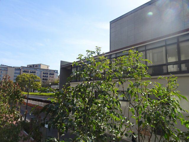 眺望　KDXレジデンス横濱紅葉坂