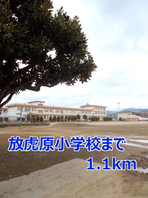 小学校　放虎原小学校（小学校）まで1100m