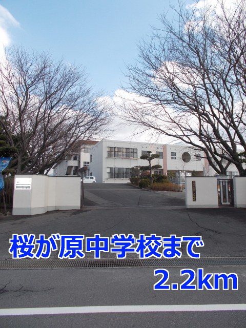 中学校　桜が原中学校（中学校）まで2200m